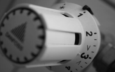 Energy Price Shifts