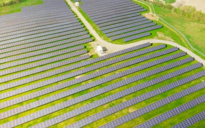 Demystifying Domestic Energy Tariffs: A Comprehensive Overview for UK Consumers