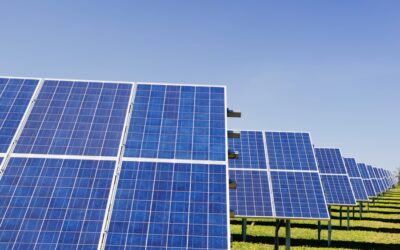 Navigating the Energy Market: Finding the Perfect UK Domestic Energy Deal
