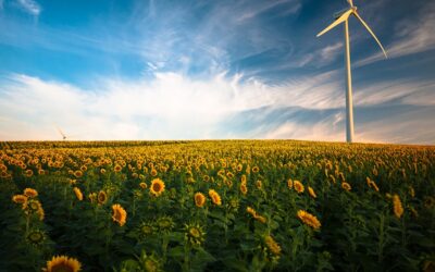 Solving the Puzzle of Domestic Energy Tariffs: Expert Advice for UK Residents