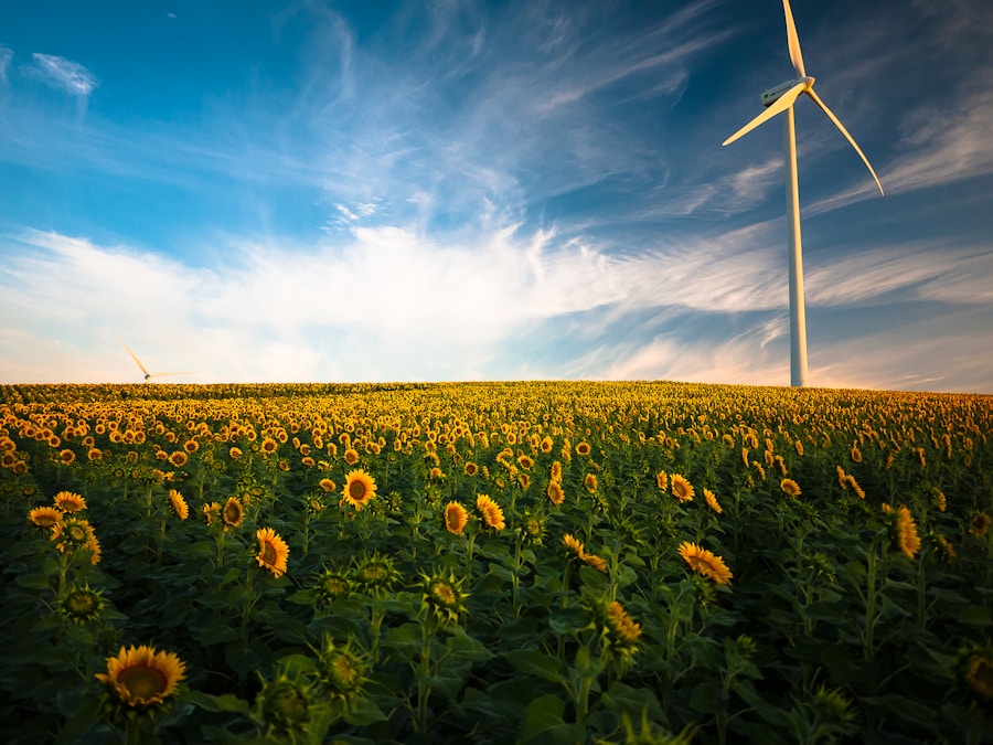 Solving the Puzzle of Domestic Energy Tariffs: Expert Advice for UK Residents